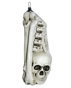 Knochen Set 12teilig