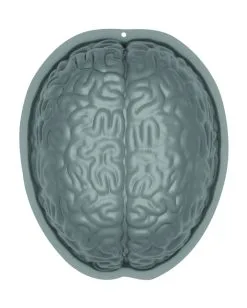 Halloween Gehirn Puddingform